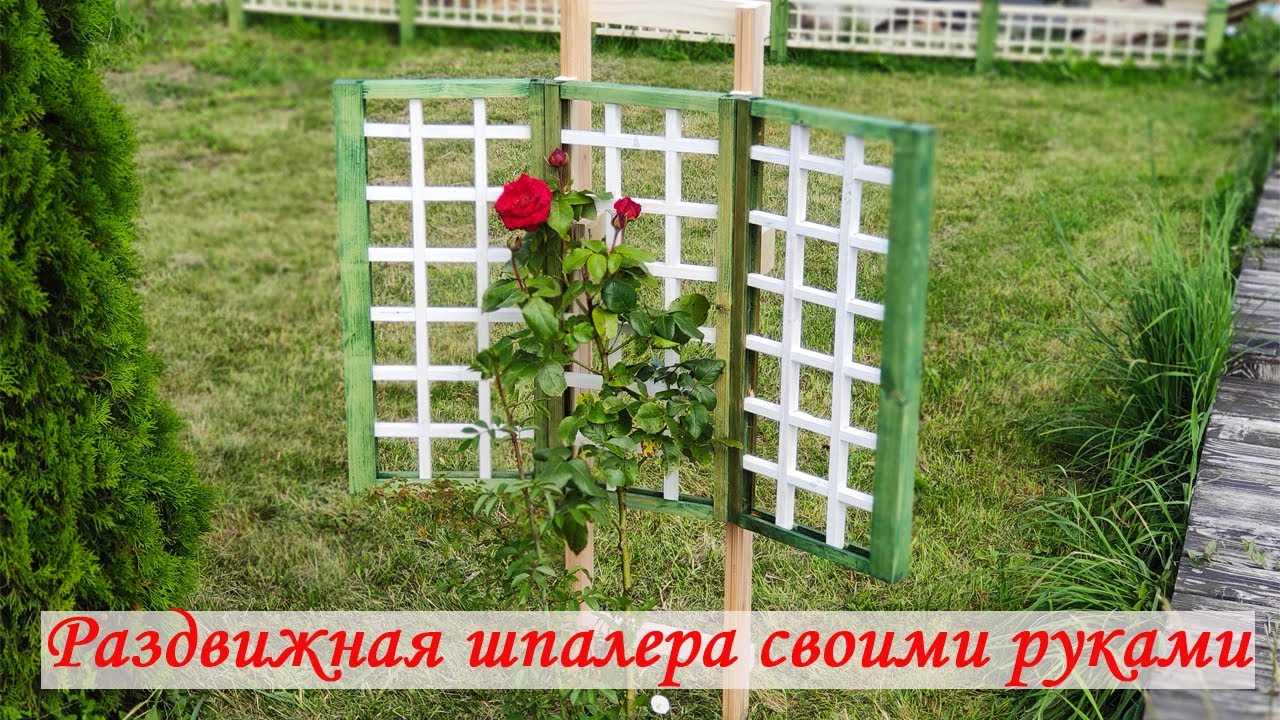 Шпалеры для розы плетистой