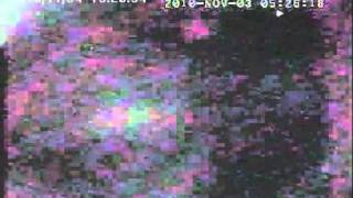 20101104 151943
