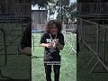 Dia 4 - RUMO AO MILHÃO #trend #viral