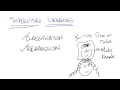 Supervised Learning Quiz