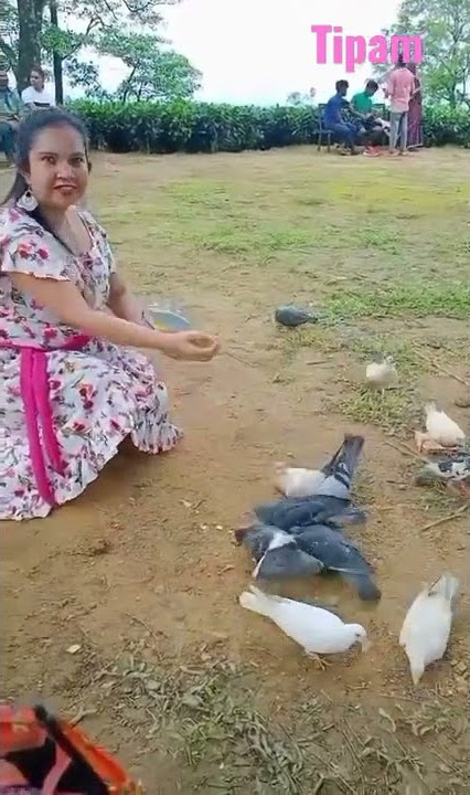 Tipam♥️ #Tipam #lovenature  #Firstcapitalofahomkingdom #BeautifulAssam #Plabitadas