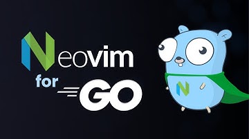 The perfect Neovim setup for Go