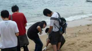 IMechE HK in International Coastal Clean-up