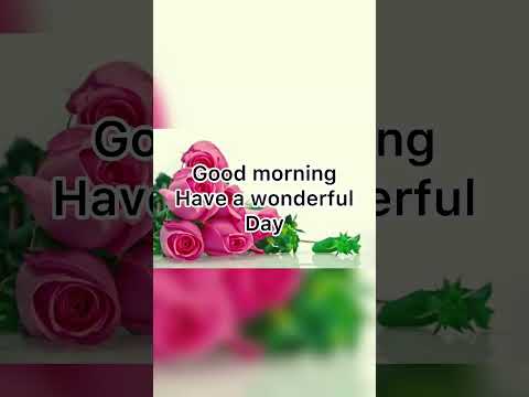 Good morning have
