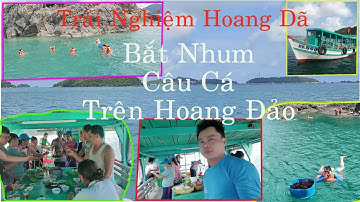 Trải nghiệm câu Cá bắt Nhum trên hoang đảo - Du lịch đảo Nam Du