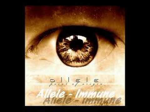 Allele - Immune