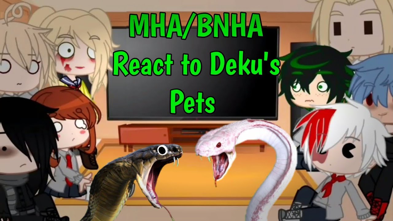 MHA/BNHA Character React to Deku's Pets/Midoriya's animal/Bakugou/Gacha Club