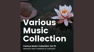 Gentle Acoustic Guitar