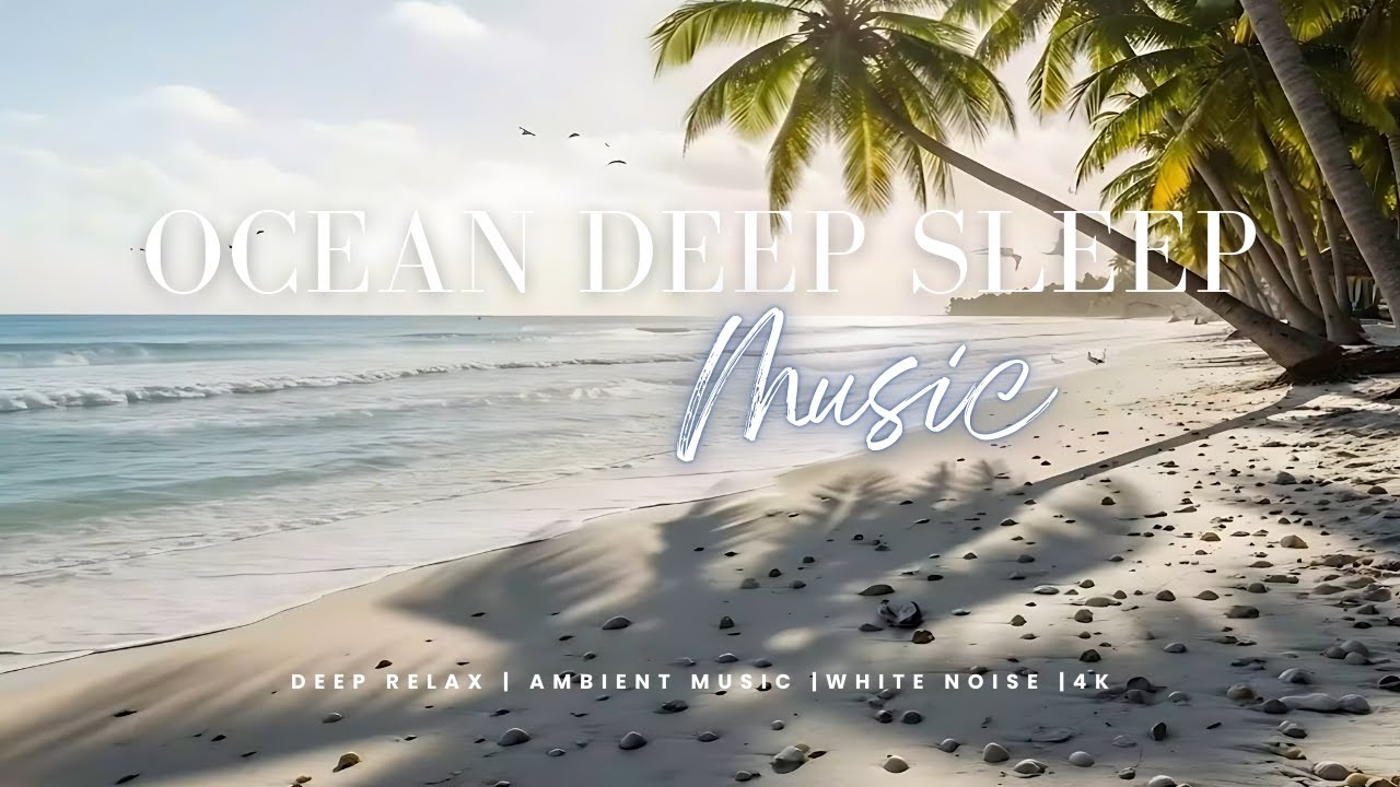 Ocean Waves Relax Ambience | 3 Hours Gentle Sea Sounds for Sleep 4K