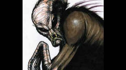 Animal X Natural Mystery Unit - el Chupacabra