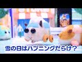 TVアニメ「PUI PUI モルカー」第9話 すべってサプライズ 予告