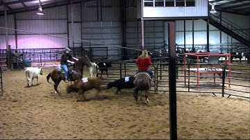 WSR Smartlil Badger - 11/7/12 sorting practice 3 - Valley View Ranch