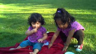 August 15, 2010 6:12 PM