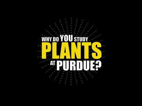 वीडियो: वनस्पतिविद् बनाम. बागवान - वनस्पति विज्ञानी क्या है और पादप विज्ञान क्यों महत्वपूर्ण है?