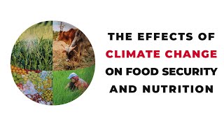 The effects of Climate Change on Food Security and Nutrition