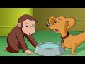 Georges le petit singe  george apprend  surmonter ses peurs  dessins anims