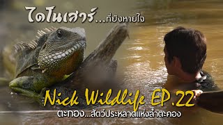 Nick Wildlife Ep.22 สัตว์ประหลาดแห่งลำตะคอง