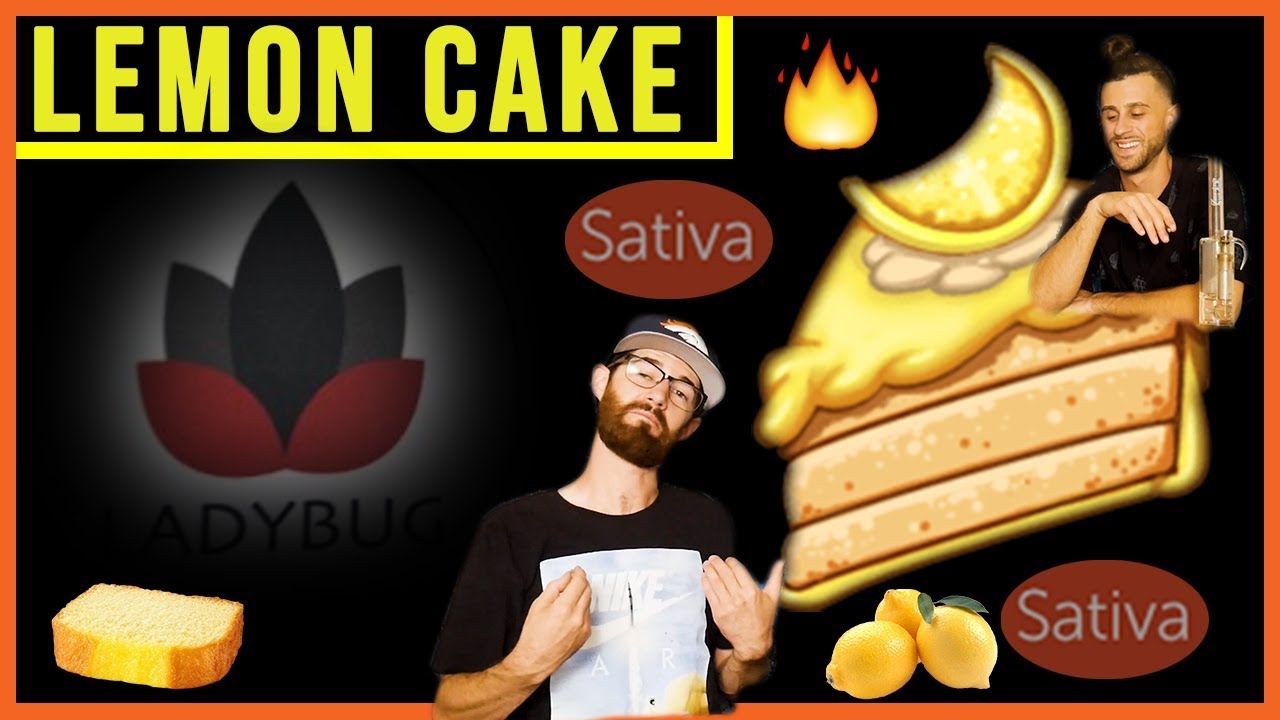 LEMON CAKE Strain Review YouTube