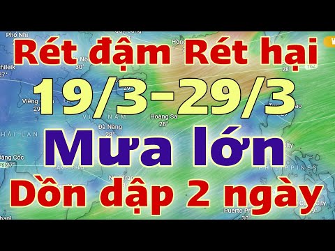 Dự báo thời tiết hôm nay và ngày mai 20/3/2024 