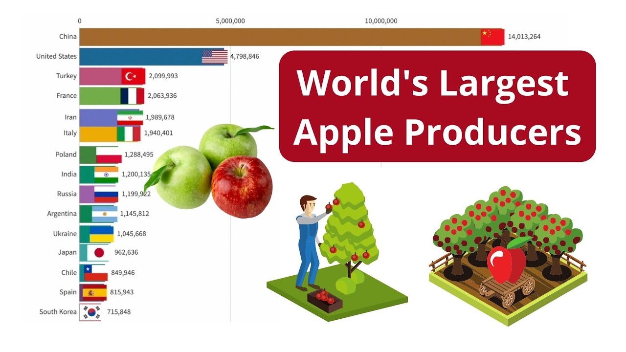 World's Largest Apple Producing Countries (from 1961 to 2020) YouTube