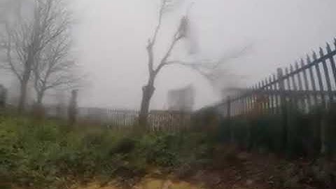 Go Pro timelapse video of tree removal