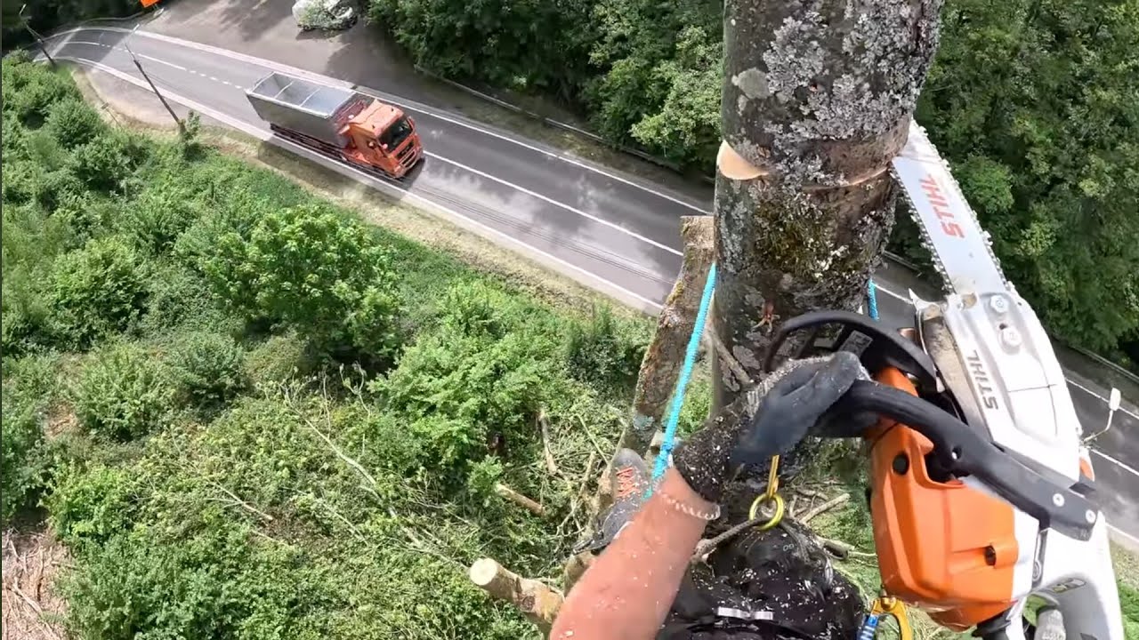 DÉMONTAGE DE 4 GROS FRÊNES / HUSQVARNA T540XP