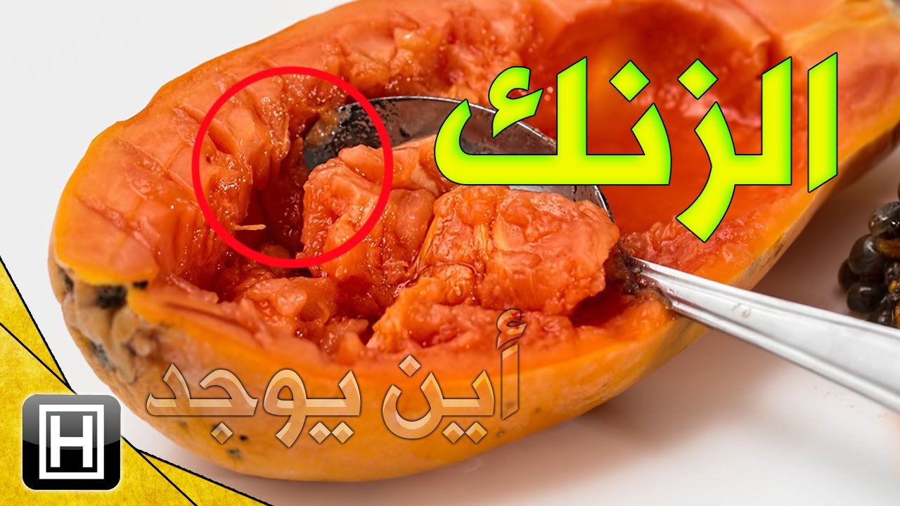 فوائد الزنك السبعة وكيفية الحصول عليه بأسهل الطرق الطبيعية Youtube