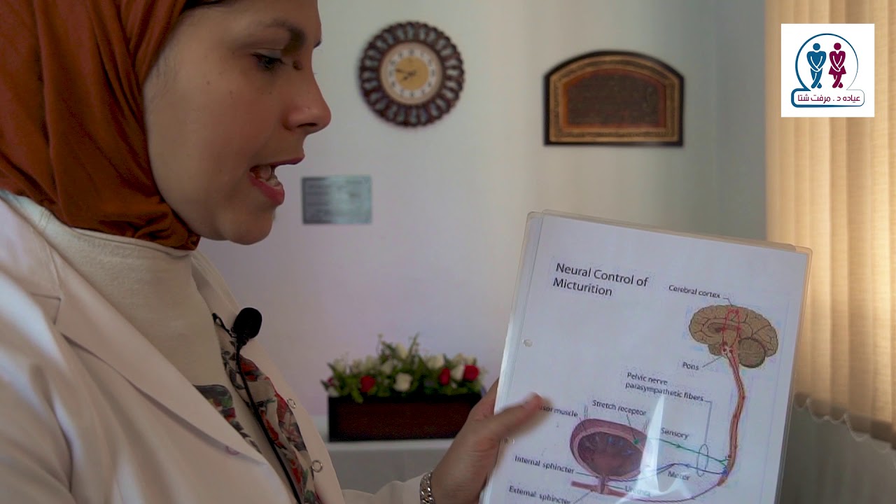 النخاع الشوكي و المثانه و الشرج