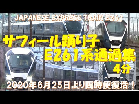 サフィール踊り子　E261系　伊豆の踊子　カッコ良く通過しますよ！！JAPANESE EXPRESS SAFHIR ODORIKO PASSING MOVIE