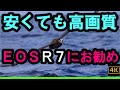 EOS R7　最初に買いたい！RF高性能レンズ「RF100-400mm F5.6-8 IS USM」