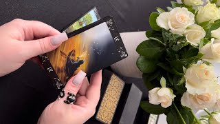 Подробный обзор таро Черные коты 🐈‍⬛ Black cats tarot