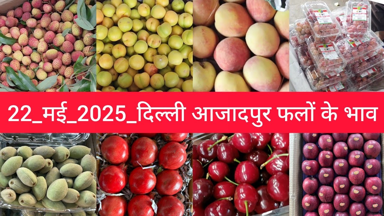 May 22, 2025 दिल्ली फलों के भाव delhi mandi today fruit market price delhi fruit market #fruitmarket