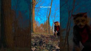☆sunset☆ #therian #therianthrophy #theriangear #quadrobics #sunset #furry #antizoo #fyp