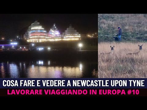 Video: 11 Le migliori cose da fare a Newcastle Upon Tyne