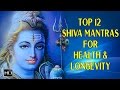 Top 12 Shiva Mantras for Good Health & Longevity - Lingashtakam - Shiva Tandava Stotram - Jukebox