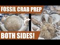 12-million-year-old fossil crab find and prep - both sides this time!