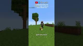 Mi̇necraftta Sakin Bu Salyangoza Dokunma?