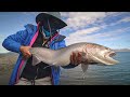 LAKE WITH THE WORLD'S LARGEST CUTTHROAT TROUT | Catch and Cook Trout
