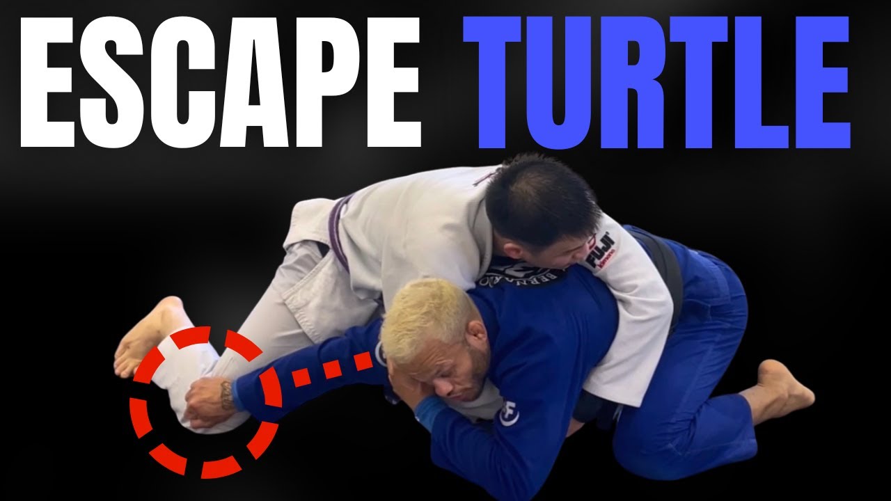Jiu Jitsu vs Wrestling - Understanding Turtle Position by