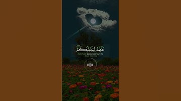 📖سورة آل عمران 🎙️سعد الغامدي