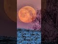 Der frühe , frostige Morgen #2026 #rügen #vollmond #Januar #Frost #Wind #Eis