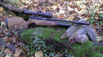 Pest Control with Air Rifles - Squirrel Shooting - Return to the Feeders