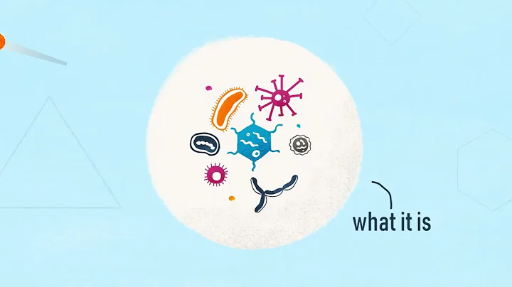 What is antimicrobial resistance?