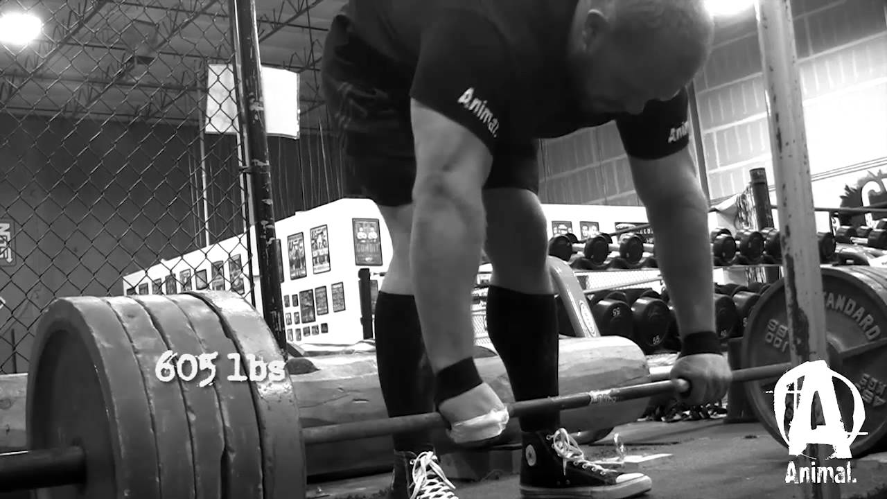 the animal underground powerlifting