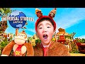 ドンキーコング カントリー じゅたろう君ファミリーのUSJ旅行 じゅたろうくんドキドキが止まらない ドンキーコング カントリー じゅたろう君ファミリーのUSJ旅行 じゅたろうくんドキドキが止まらない