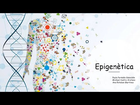 Vídeo: Com les modificacions d'histones regulen l'expressió gènica?