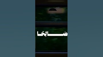 تلاوة موثرة جدا #قران_كريم #اكسبلور #تلاوة_خاشعة #duet #دويتو #القرآن_الكريم #القرآن_الكريم