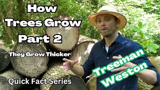 How Trees Grow Part 2 (They Grow Thicker)