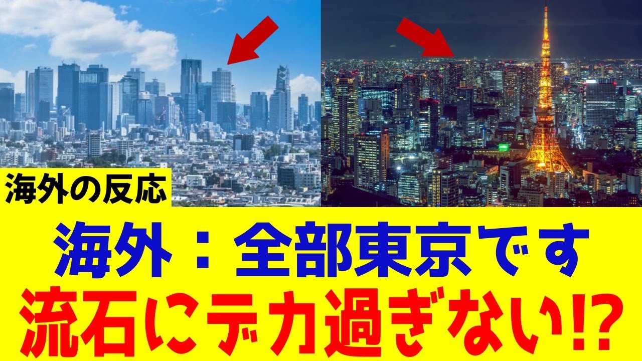【海外の反応】信じられない！街が延々とどこまでも続く、東京の巨大さに驚いた海外の人の反応とその理由