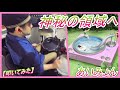 神秘の領域へ あいみょん ドラム 叩いてみた 神秘の領域へ あいみょん ドラム 叩いてみた